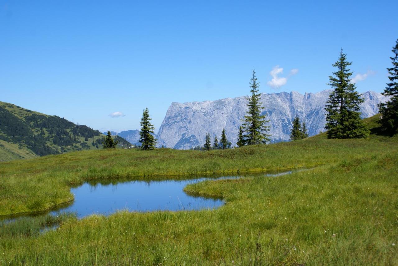 Das Sonneck Mühlbach am Hochkönig Екстериор снимка