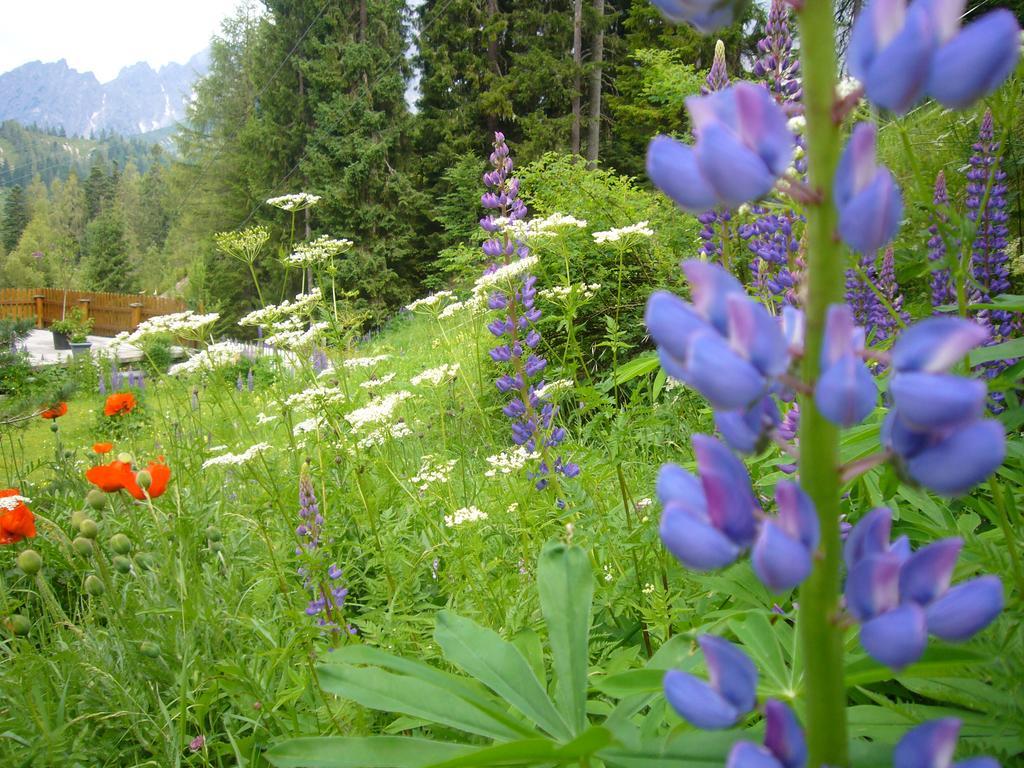 Das Sonneck Mühlbach am Hochkönig Екстериор снимка
